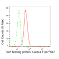 LifeSab™ KD-Validated TAX1BP1 Rabbit mAb (20 μl)