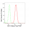 LifeSab™ KD-Validated IDH1 Rabbit mAb (20 μl)