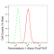 LifeSab™ KD-Validated PRDX1 Rabbit mAb (20 μl)