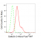 LifeSab™ KD-Validated GAL3 Rabbit mAb (20 μl)