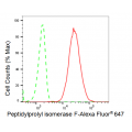 LifeSab™ KD-Validated PPIF Rabbit mAb (20 μl)