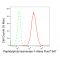 LifeSab™ KD-Validated PPIF Rabbit mAb (20 μl)