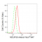 LifeSab™ KD-Validated NDUFS3 Rabbit mAb (20 μl)