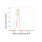 LifeSab™ KD-Validated RAC3 Rabbit mAb (20 μl)