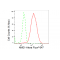 LifeSab™ KD-Validated NME1 Rabbit mAb (20 μl)