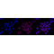 LifeSab™ KD-Validated NME1 Rabbit mAb (20 μl)