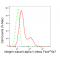 LifeSab™ KD-Validated ITGAV Rabbit mAb (20 μl)