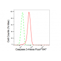 LifeSab™ KD-Validated CASP3 Rabbit mAb (20 μl)