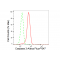 LifeSab™ KD-Validated CASP3 Rabbit mAb (20 μl)