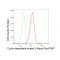 LifeSab™ KD-Validated CDK2 Rabbit mAb (20 μl)