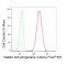 LifeSab™ KD-Validated MDH2 Rabbit mAb (20 μl)