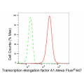 LifeSab™ KD-Validated TCEA1 Rabbit mAb (20 μl)