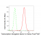 LifeSab™ KD-Validated TCEA1 Rabbit mAb (20 μl)