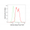 LifeSab™ KD-Validated CDC42 Rabbit mAb (20 μl)