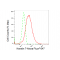 LifeSab™ KD-Validated K7 Rabbit mAb (20 μl)