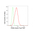 LifeSab™ KD-Validated DDB2 Rabbit mAb (20 μl)