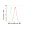 LifeSab™ KD-Validated MAP2K1 Rabbit mAb (20 μl)