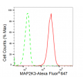 LifeSab™ KD-Validated MAP2K3 Rabbit mAb (20 μl)