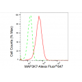 LifeSab™ KD-Validated MAP3K7 Rabbit mAb (20 μl)