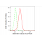 LifeSab™ KD-Validated MAP3K7 Rabbit mAb (20 μl)