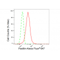 LifeSab™ KD-Validated PXN Rabbit mAb (20 μl)