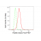 LifeSab™ KD-Validated PXN Rabbit mAb (20 μl)