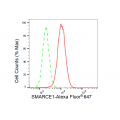 LifeSab™ KD-Validated SMARCE1 Rabbit mAb (20 μl)