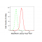 LifeSab™ KD-Validated SMARCE1 Rabbit mAb (20 μl)