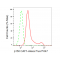 LifeSab™ KD-Validated p150 CAF1 Rabbit mAb (20 μl)