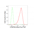 LifeSab™ KD-Validated CHMP2B Rabbit mAb (20 μl)