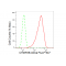 LifeSab™ KD-Validated CHMP2B Rabbit mAb (20 μl)