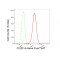 LifeSab™ KD-Validated CC2D1A Rabbit mAb (20 μl)