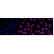 LifeSab™ KD-Validated CIRBP Rabbit mAb (20 μl)