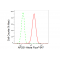 LifeSab™ KD-Validated AP2S1 Rabbit mAb (20 μl)