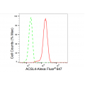 LifeSab™ KD-Validated ACSL4 Rabbit mAb (20 μl)