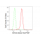 LifeSab™ KD-Validated ACSL4 Rabbit mAb (20 μl)