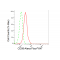 LifeSab™ KD-Validated CD58 Rabbit mAb (20 μl)