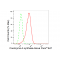 LifeSab™ KD-Validated COASY Rabbit mAb (20 μl)