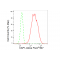 LifeSab™ KD-Validated CAP1 Rabbit mAb (20 μl)