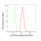 LifeSab™ KD-Validated CLPTM1 Rabbit mAb (20 μl)