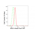 LifeSab™ KD-Validated BAG1 Rabbit mAb (20 μl)