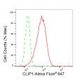 LifeSab™ KD-Validated CLIP1 Rabbit mAb (20 μl)