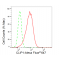 LifeSab™ KD-Validated CLIP1 Rabbit mAb (20 μl)