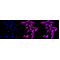 LifeSab™ KD-Validated CLIP1 Rabbit mAb (20 μl)