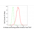 LifeSab™ KD-Validated AKAP8 Rabbit mAb (20 μl)