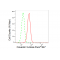 LifeSab™ KD-Validated CAV3 Rabbit mAb (20 μl)