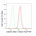 LifeSab™ KD-Validated CTNND1 Rabbit mAb (20 μl)