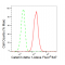 LifeSab™ KD-Validated CTNND1 Rabbit mAb (20 μl)