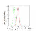 LifeSab™ KD-Validated BIN1 Rabbit mAb (20 μl)