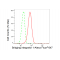 LifeSab™ KD-Validated BIN1 Rabbit mAb (20 μl)